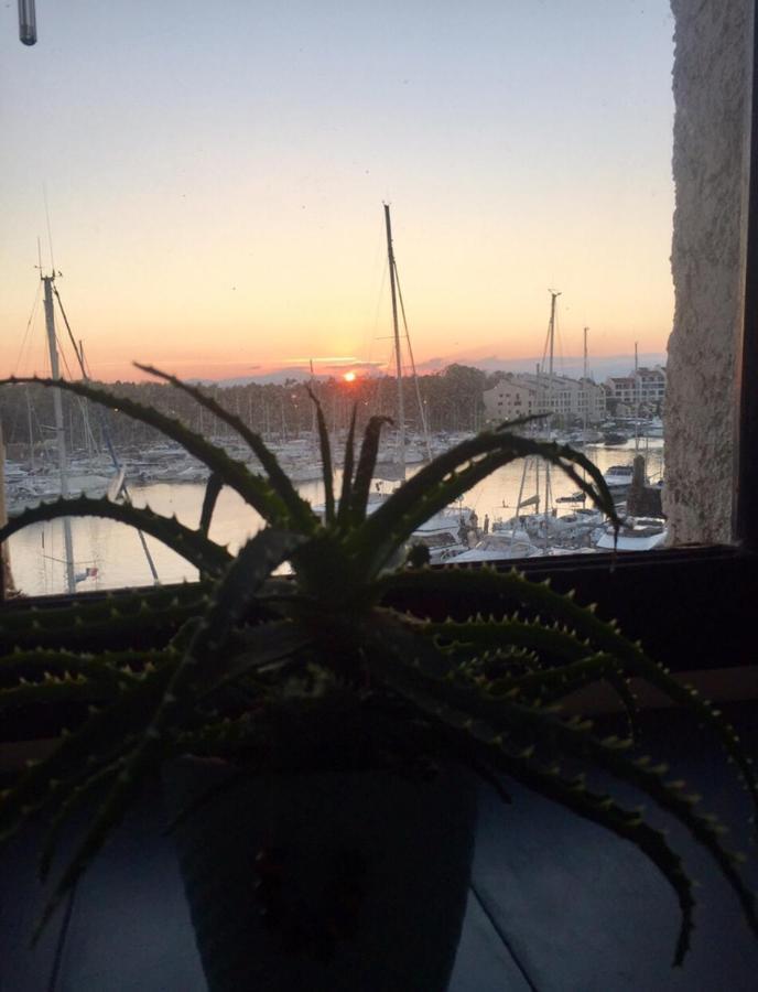 Petit Cocon Magnifique Vue Sur Marina Dans Le Golfe De Saint Tropez Apartment โคโกแล็ง ภายนอก รูปภาพ
